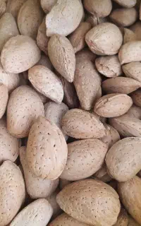 بادام