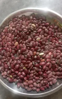 لوبیاخورشتی