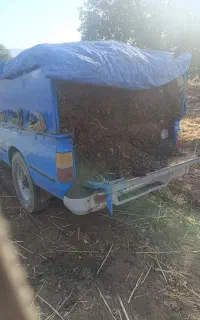 فروش کود حیوانی