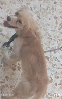 فروش