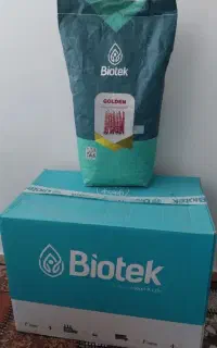 بذر لوبیا چیتی گلدن بیوتک ترکیه