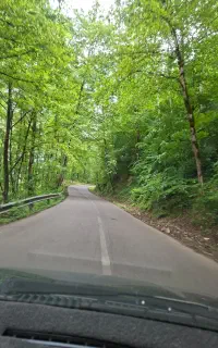 طبیعت گردی