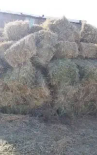 یونجه پرس شده