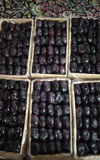 خرما زرد عسلی و مضافتی