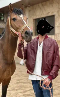 اسب ترکمن