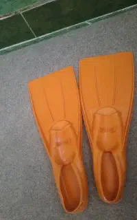 کفش غواصی( فین)
