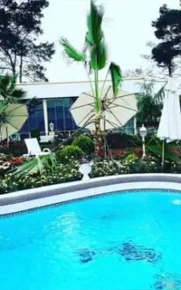 سالن مجالس عقد نامزدی‌ تولد باغ تالار عمارت