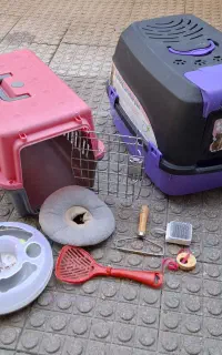 جای خاک گربه و سگ،باکس حمل،وسیله بازی،برس،ماساژور