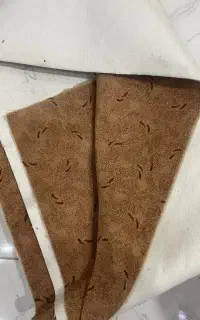 موکت پالاز