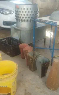 پرکن مرغ
