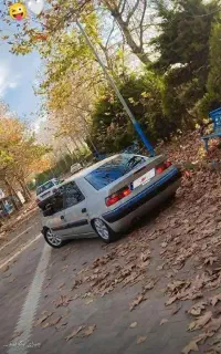 زانتیا ۸۲
