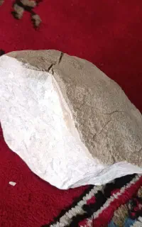 سنگ کربنادو