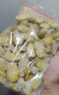 باقلا لپه شده زرد فروش فوری تعدادی مونده