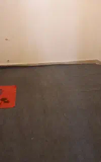 موکت.. کناره.. پادری