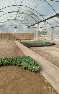 کلیه خدمات باغبانی و فضای سبز گلخانه‌ای