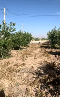 فروش باغ شهری