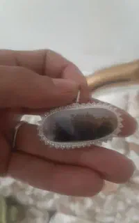 گردنی شجر