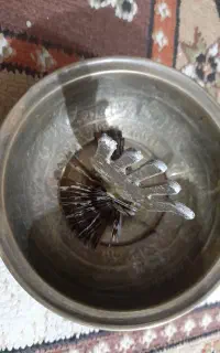 کاسه چهل کلید