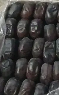 خرما