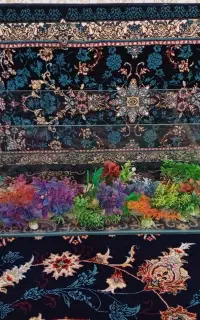 آکواریوم، لوازم،ماهی