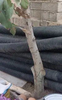 لوله ۶اینج درحد نو
