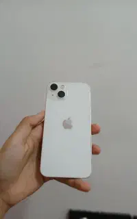 13 normal
