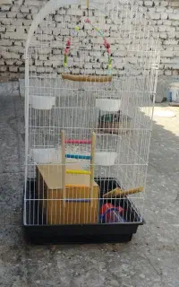 قفس پرنده