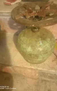 پیک نیک
