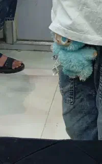 عروسک گمشده