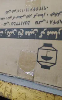 کش‌ونخ‌زگزال‌