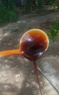 شیره خرما سنتی