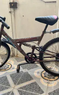 دو چرخه26