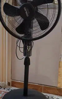 پنکه