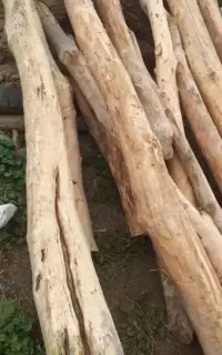 خرید چوب ضایعات وصنعتی