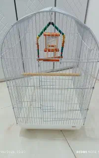 قفس