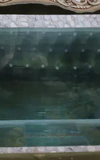 دو عدد اکواریوم