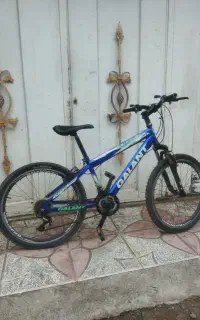دوچرخه 24 GaLant