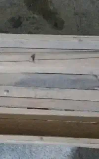 یک عدد تهده در حد نو