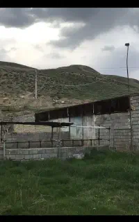 گاوداری پرواری