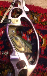قبضه HOYT