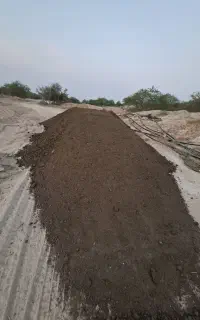 کود گاوی خشک