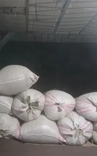 علف سبزه اماده