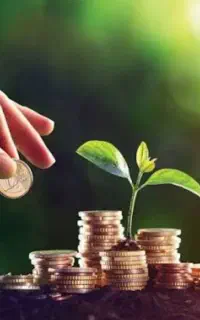 جذب سرمایه گذار