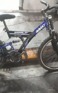 دوچرخه