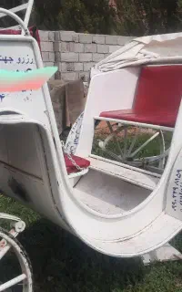 فروش کالسکه در حد نو با اسب