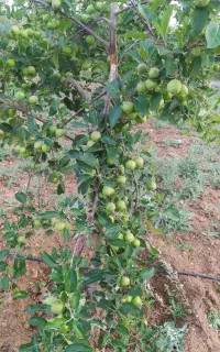 مشاوره حقوقی تلفنی