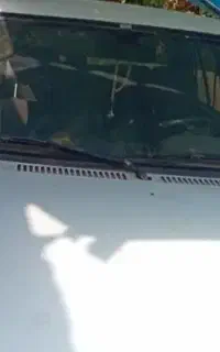 سرویس مدرسه