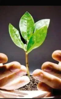 مشاوره تخصصی ترک اعتیاد