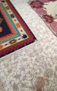 قالی قالیچه