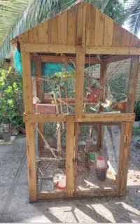 قفس چوبی پرنده، با مرغ عشق